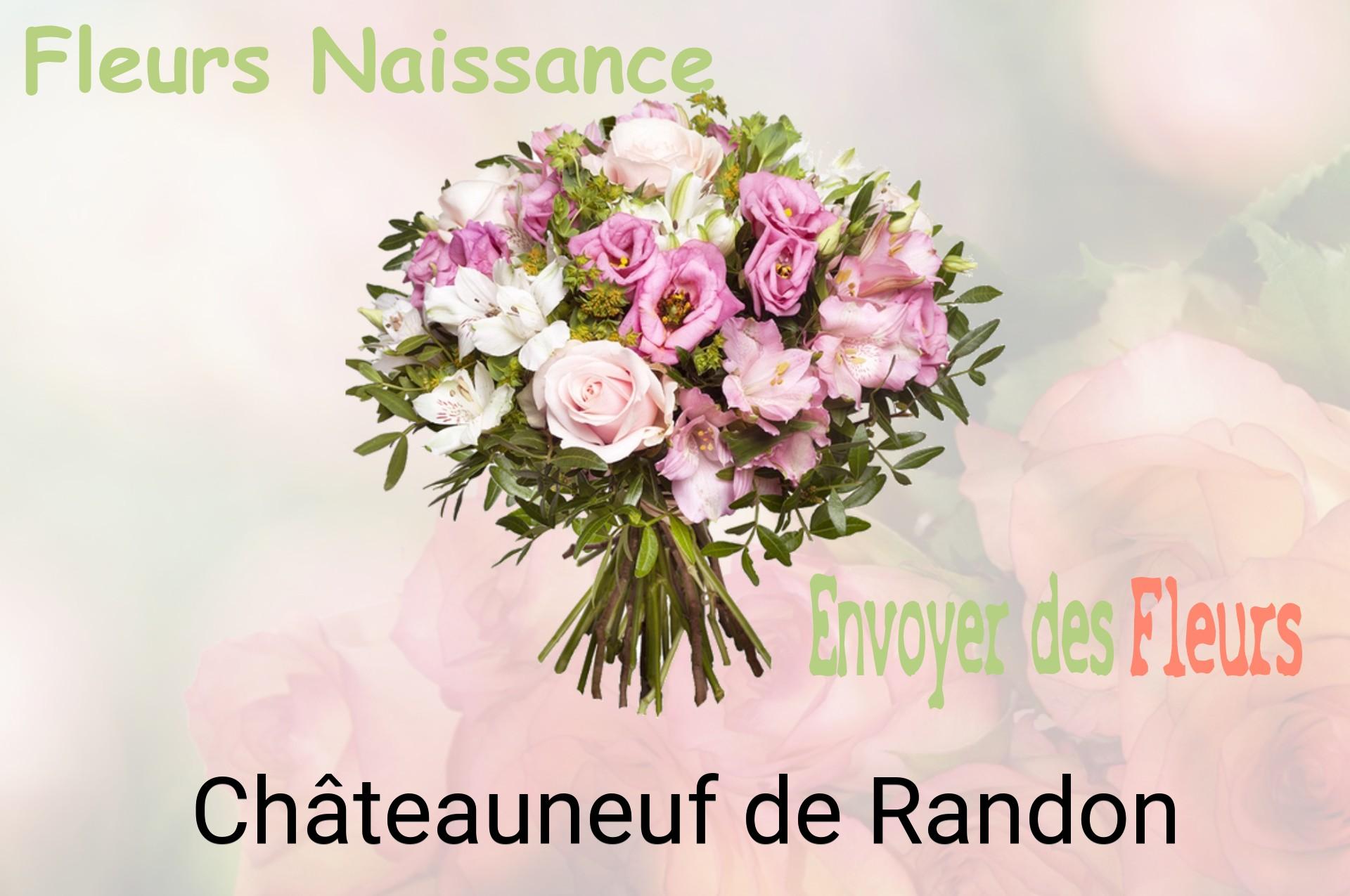 Bouquet de fleurs de naissance livré à Châteauneuf-de-Randon