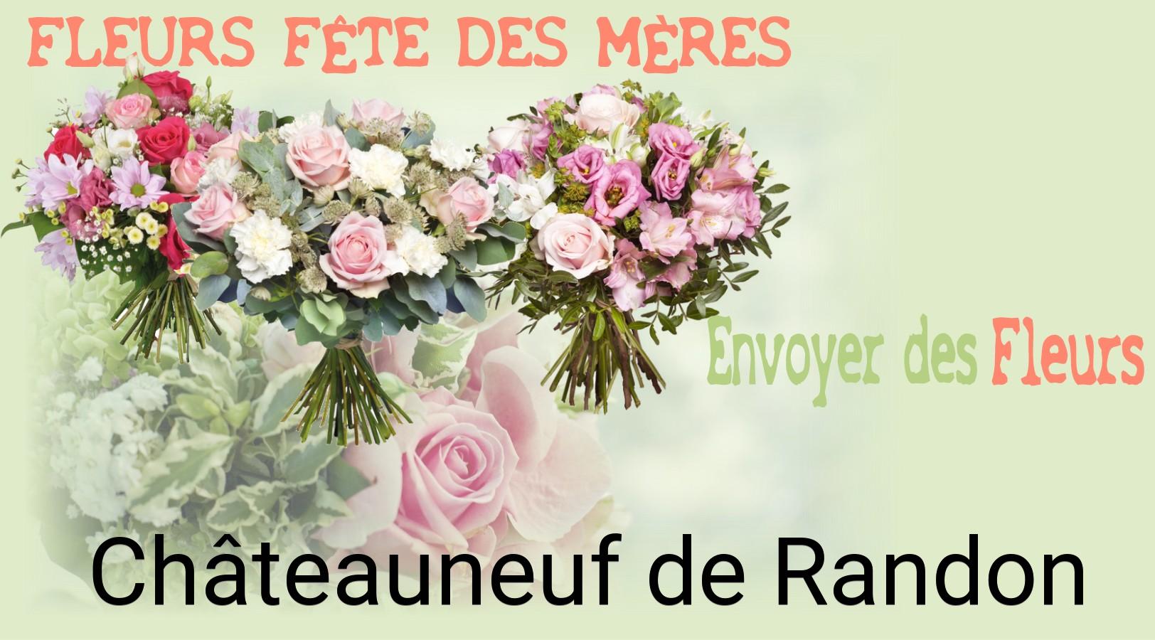 Bouquet de Fête des Mères livré à Châteauneuf-de-Randon